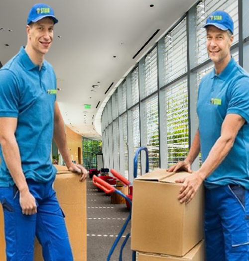 Pendik Evden Eve Nakliyat